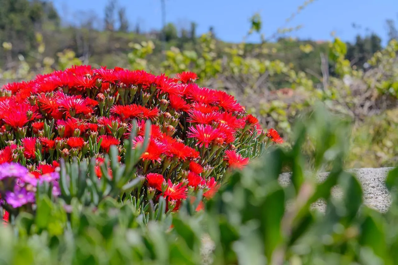 Recanto Das Florencas Arco da Calheta  Holiday home